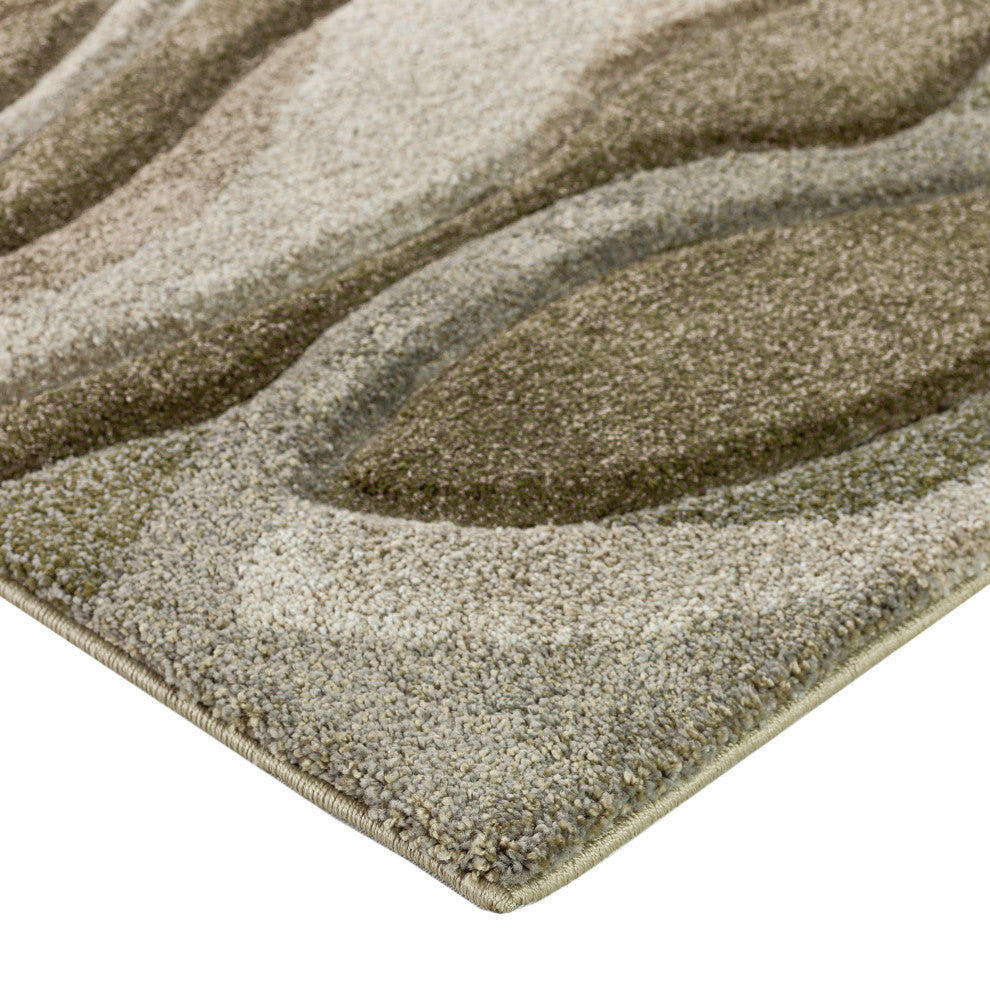 Carmona CO5 Cactus 8' x 10' Rug