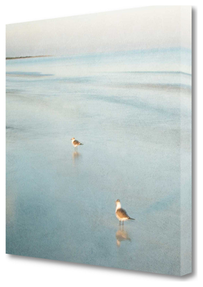 20" Coastal Two Seagulls on the Beach Giclee Wrap Canvas Wall Art