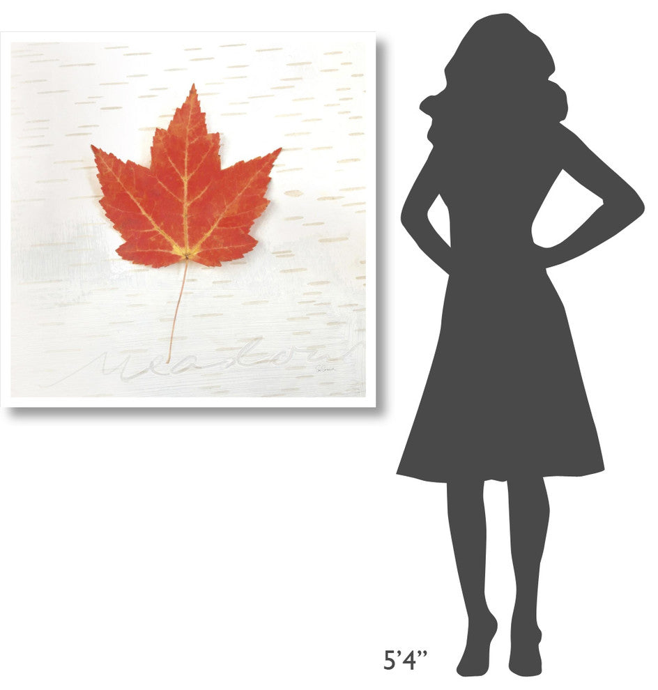 "Autumn Colors I" Digital Paper Print by Sue Schlabach, 38"x38"