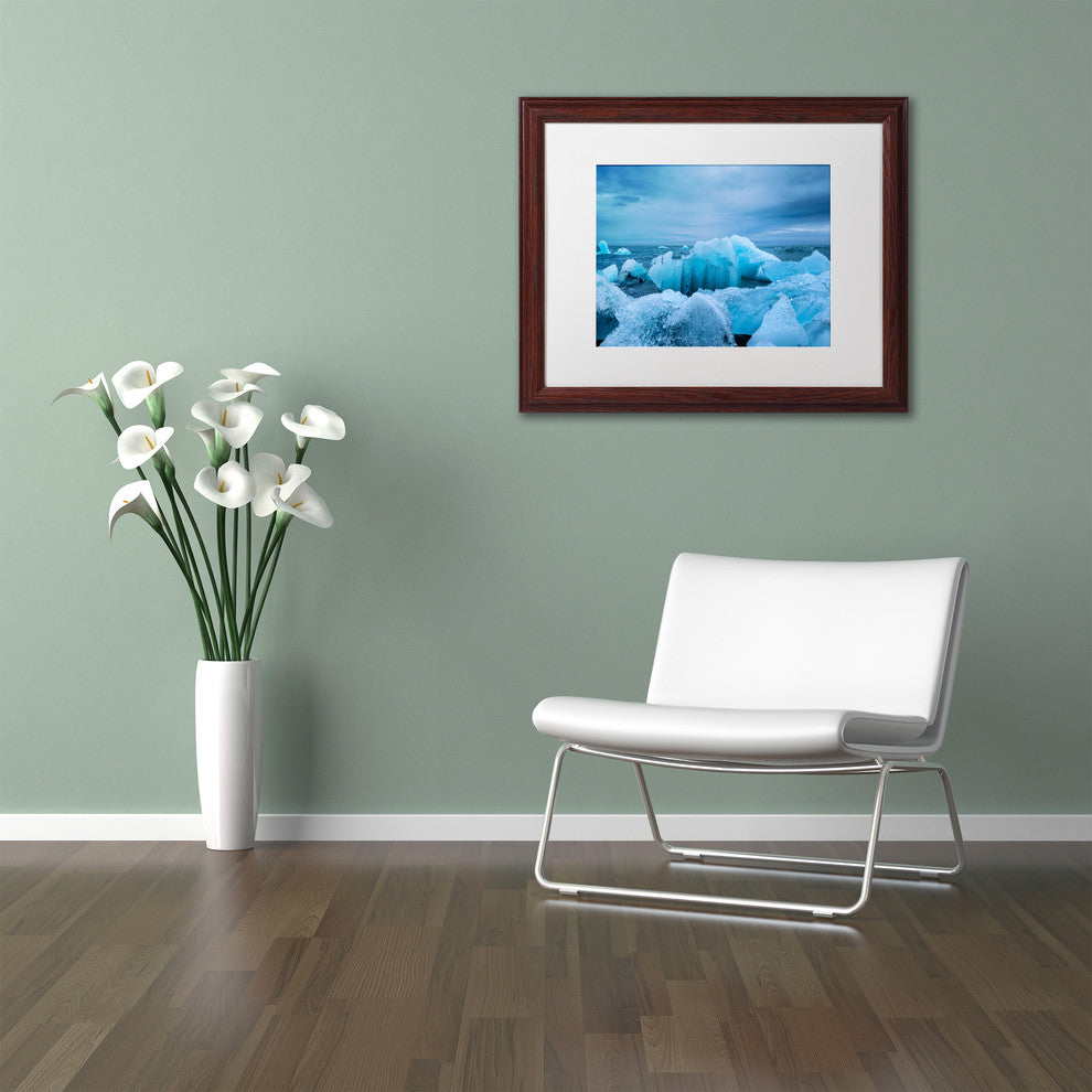 Philippe Sainte-Laudy 'Ice Park' Matted Framed Art
