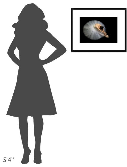"Elegance" Framed Digital Print by Pauline Pentony Ba, 24"x19"