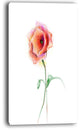 "Red Poppy Flower With Green Leaves" Flower Canvas Wall Art, 16"x32"