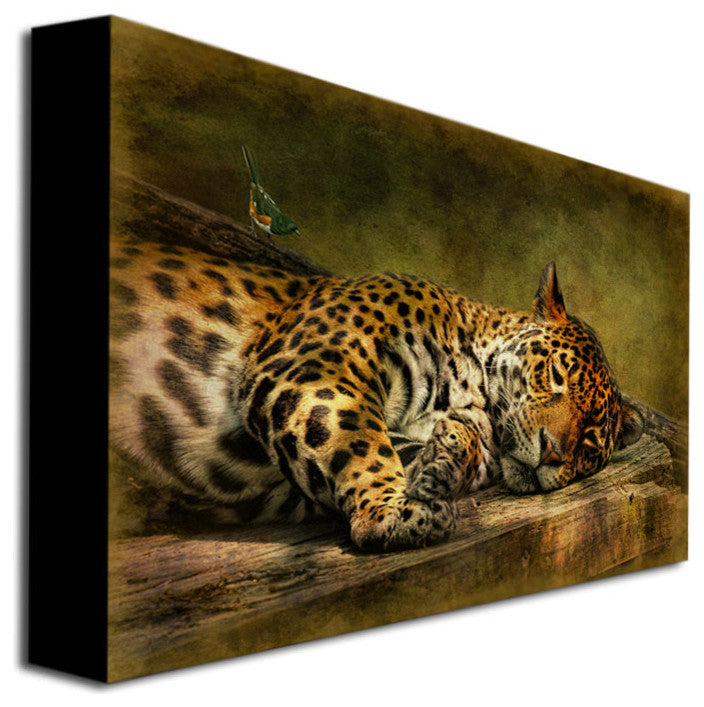 'Wake Up, Sleepyhead' Canvas Art by Lois Bryan