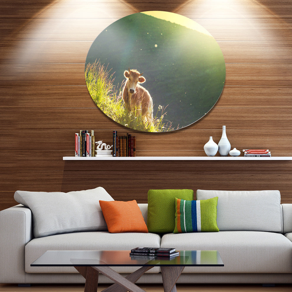 Cow Grazing On Meadow Evening, Landscape Round Metal Wall Art, 11"