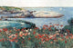 Poppies, Isle of Shoals- Canvas Poster 20" x 30"