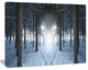 Winter Forest with Dark Woods, Large landscape Canvas Art Print, 60x40