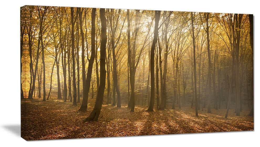 Thick Green Fall Forest with Fog, Forest Canvas Art Print, 32"x16"