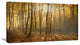 Thick Green Fall Forest with Fog, Forest Canvas Art Print, 32"x16"