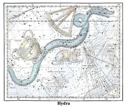Hydra - Gallery Wrapped Canvas Art 28" x 42"