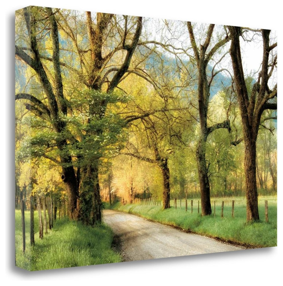 "Warm Morning Light" By D. Burt, Giclee Print on Gallery Wrap Canvas