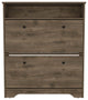 DEPOT E-SHOP Wayne Shoe Rack with 2 Doors, Dark Brown