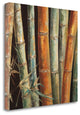 "Caribbean Bamboo I" By Tita Quintero, Giclee Print on Gallery Wrap Canvas