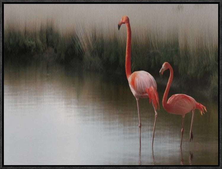 "Untitled" Framed Canvas Giclee by Anna Cseresnjes, 23x17"