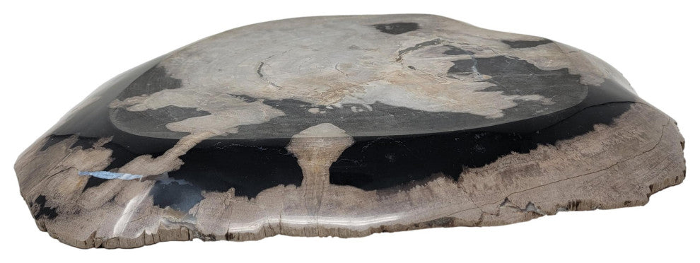 Large 17 in Petrified Wood Stone Tray Centerpiece Plate Fossil Live Edge Natural