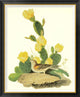 "Grass Finch Or Bay-Winged Bunting"  by John James Audubon, 34x41"