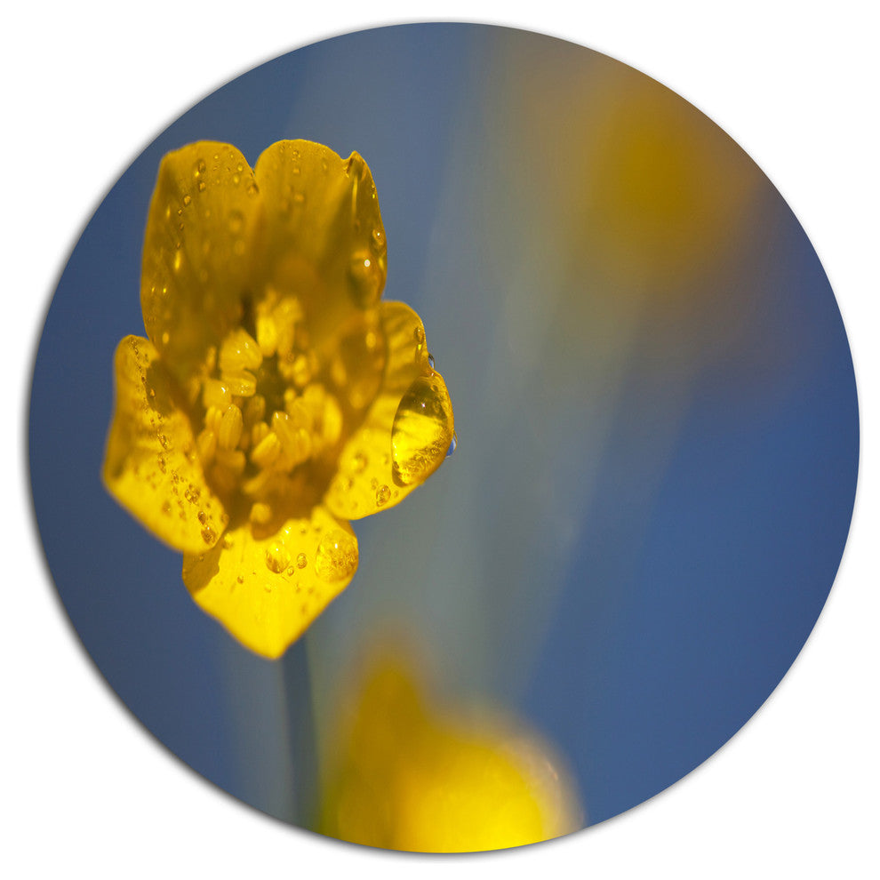 Solitary Yellow Flower, Modern Flower Large Disc Metal Wall Art, 36"