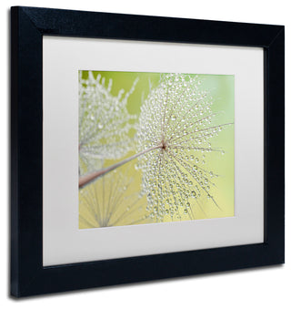 Cora Niele 'Dewy Dandelion' Matted Framed Art