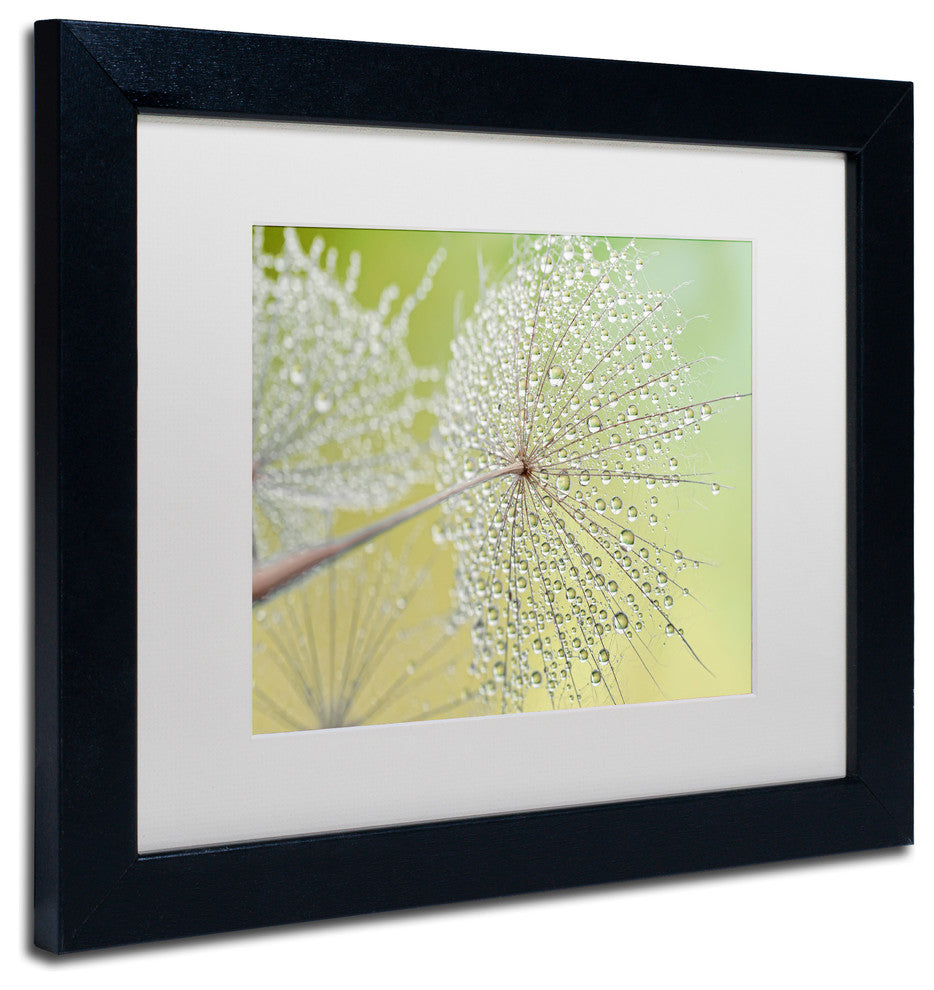 Cora Niele 'Dewy Dandelion' Matted Framed Art