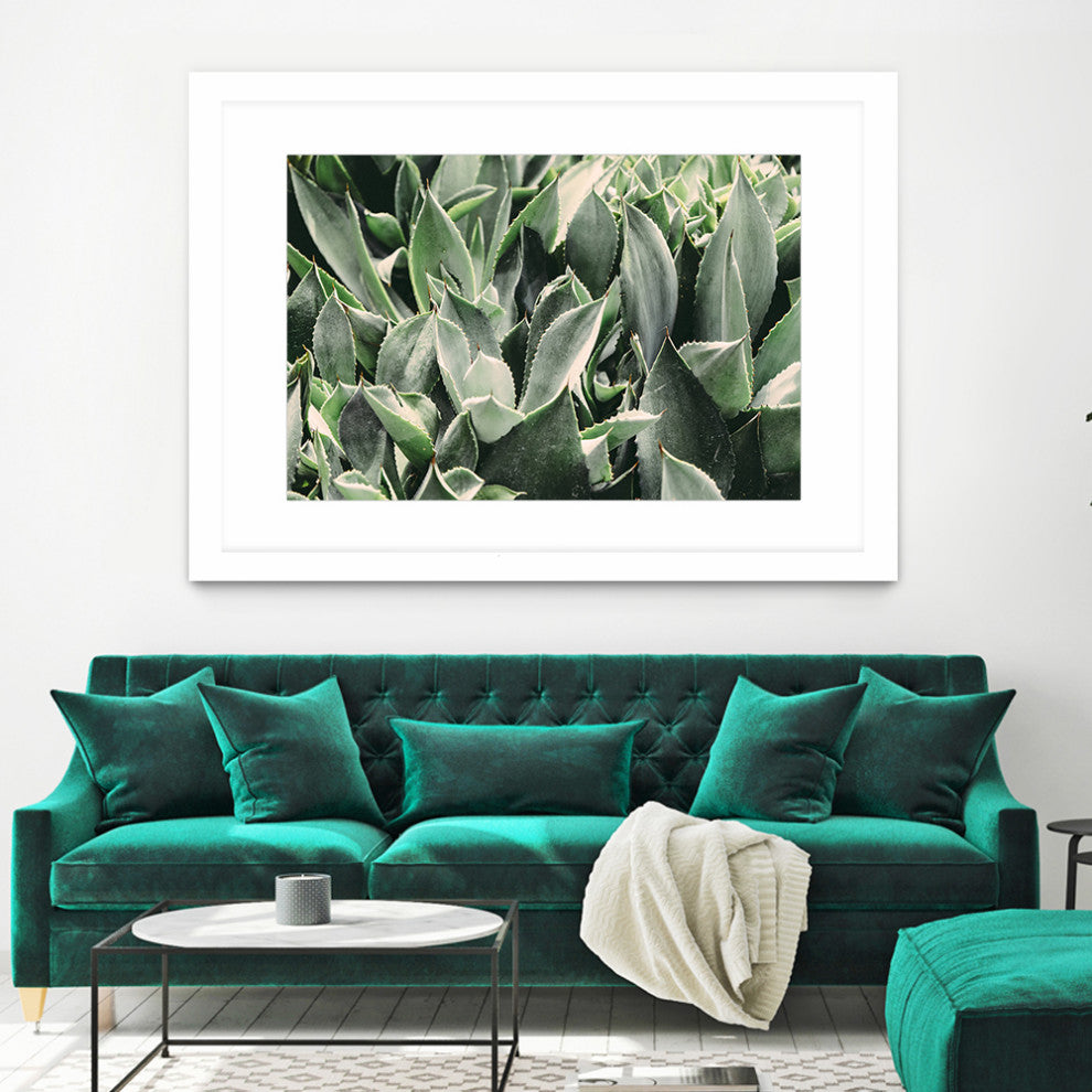 "Plants" Matted and Framed, 36"x52"