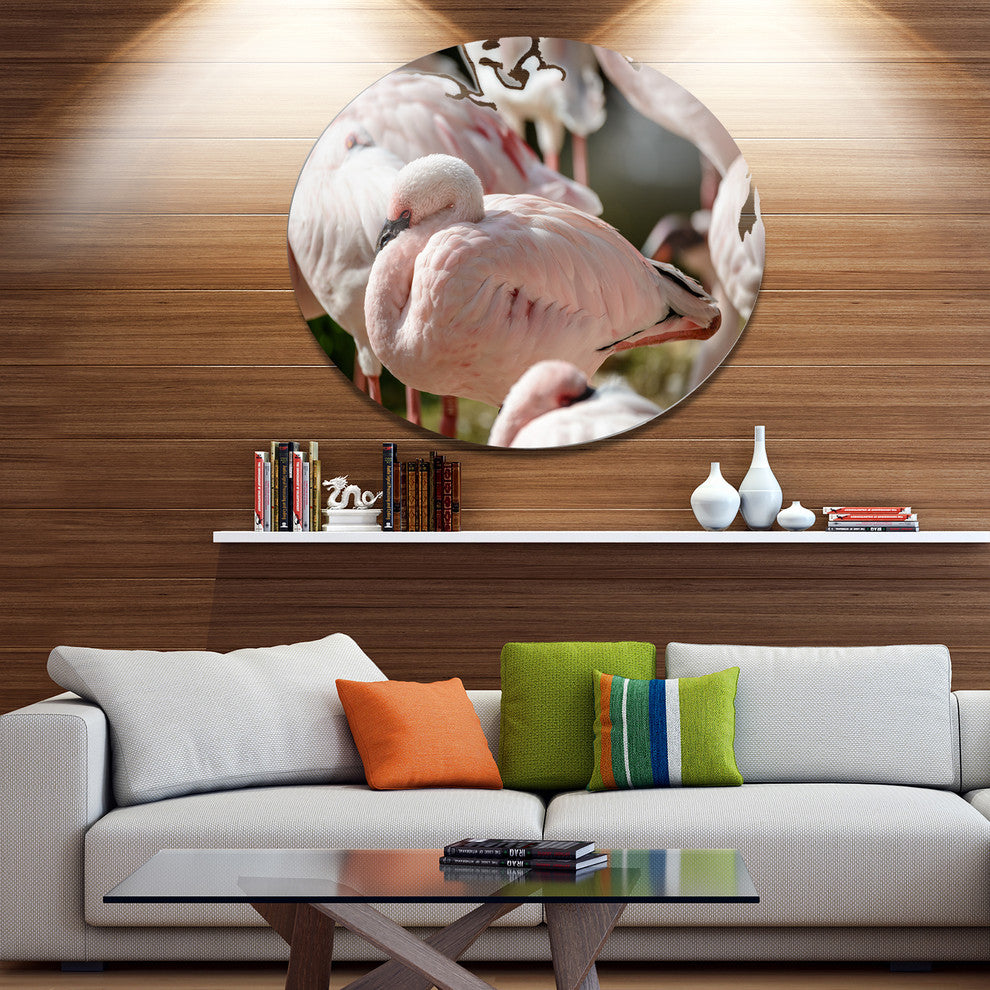 Pat Of Flamingos Close-Up, Animal Round Wall Art, 36"