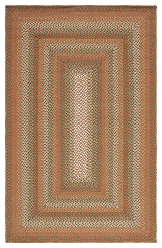 Safavieh Cape Cod Collection BRD651A Rug, Ivory/Brown, 8' X 10'