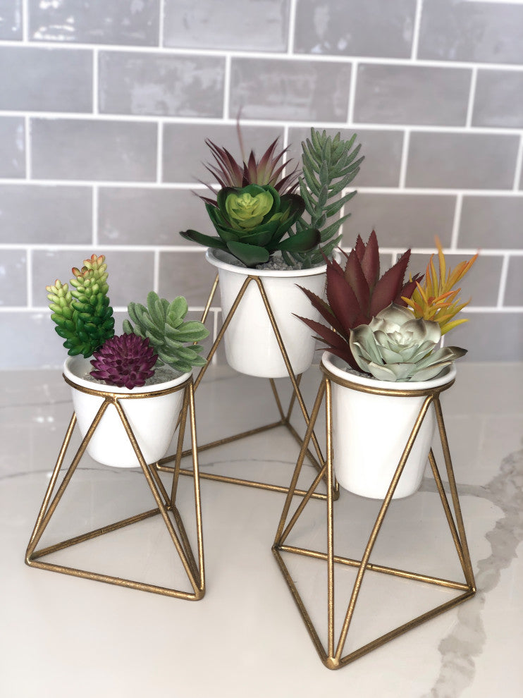 3-Piece Viola Table Top Planter Set