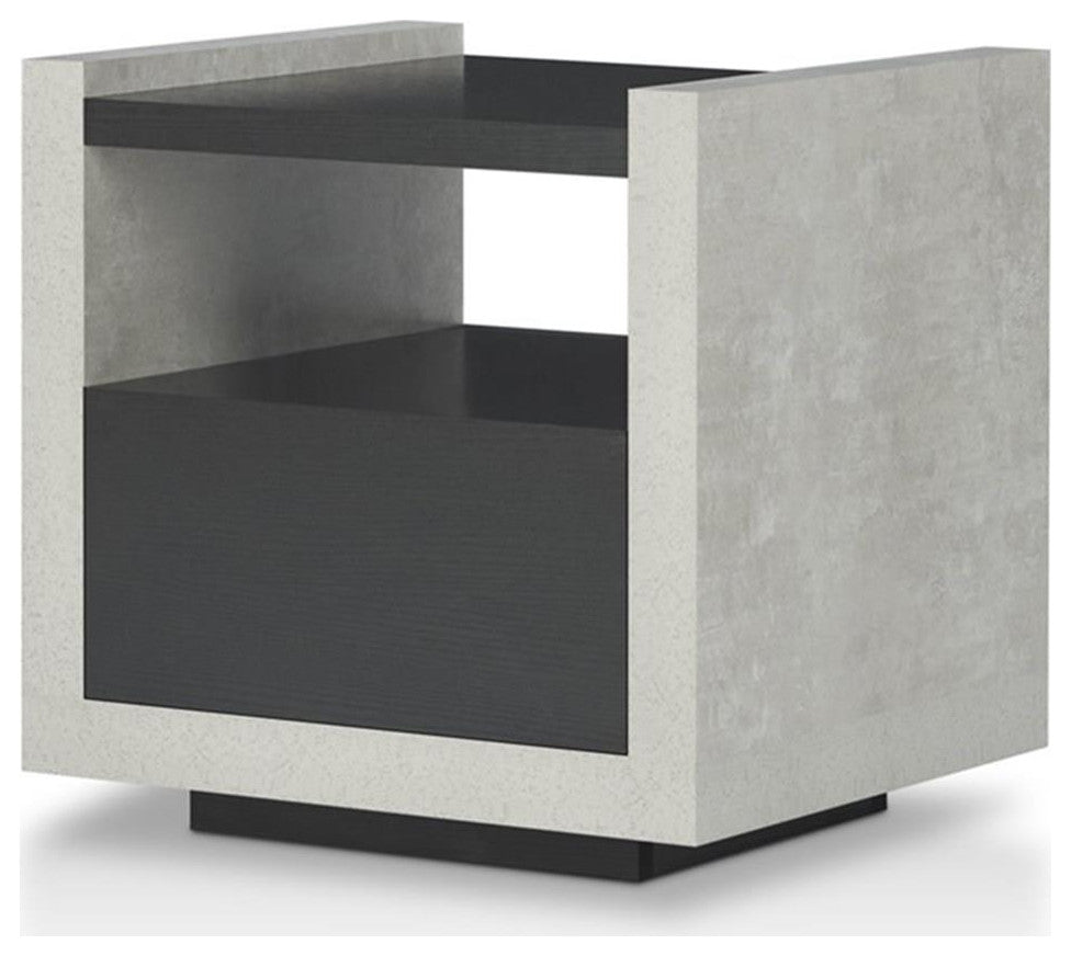 Furniture of America Gare Industrial Wood Storage End Table in Black