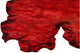 Hand Tufted Red Wool Area Rug