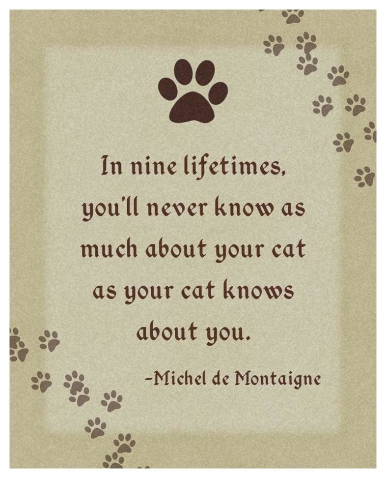 "Michel de Montaigne: Nine Lifetimes" Digital Paper Print by BG.Studio, 24"x30"