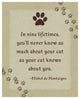 "Michel de Montaigne: Nine Lifetimes" Digital Paper Print by BG.Studio, 24"x30"