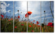 Poppy Flower Field View From Ground, Floral Canvas Art Print, 48"x28", 4 Panels