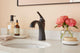 Vaughn Single Handle Lavatory Faucet w/ Metal Pop-Up Drain Chrome, Satin Black