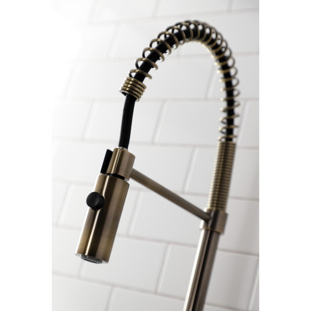LS877CTLAB Continental Single-Handle Pre-Rinse Kitchen Faucet, Antique Brass