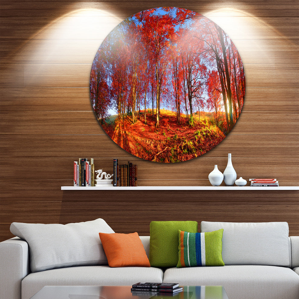 Red Autumn Forest In Carpathians, Landscape Disc Metal Wall Art, 38"