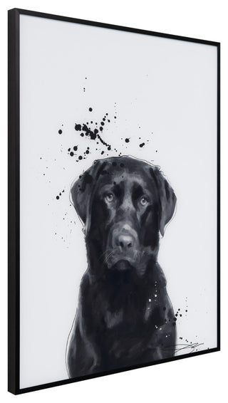 "Labrador Retriever" Black & White Pet Art on Printed Glass with Anodized Frame