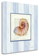 "Sanibel Shell III" By Avery Tillmon, Giclee Print on Gallery Wrap Canvas