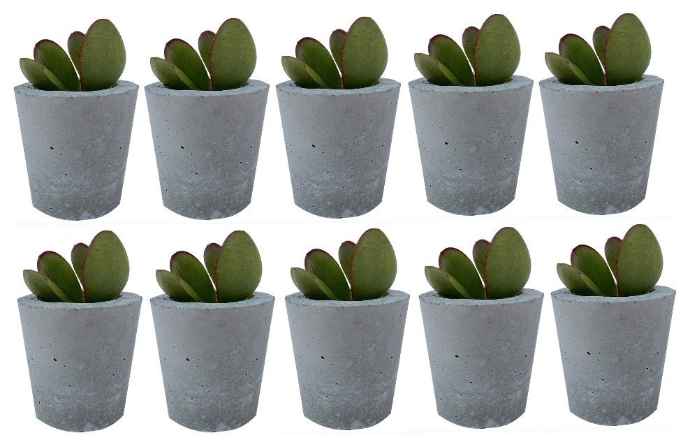 Mini Concrete Planters, Set of 10, Not Painted