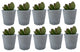 Mini Concrete Planters, Set of 10, Not Painted