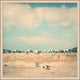 Gull Colony, Giclee Reproduction Artwork