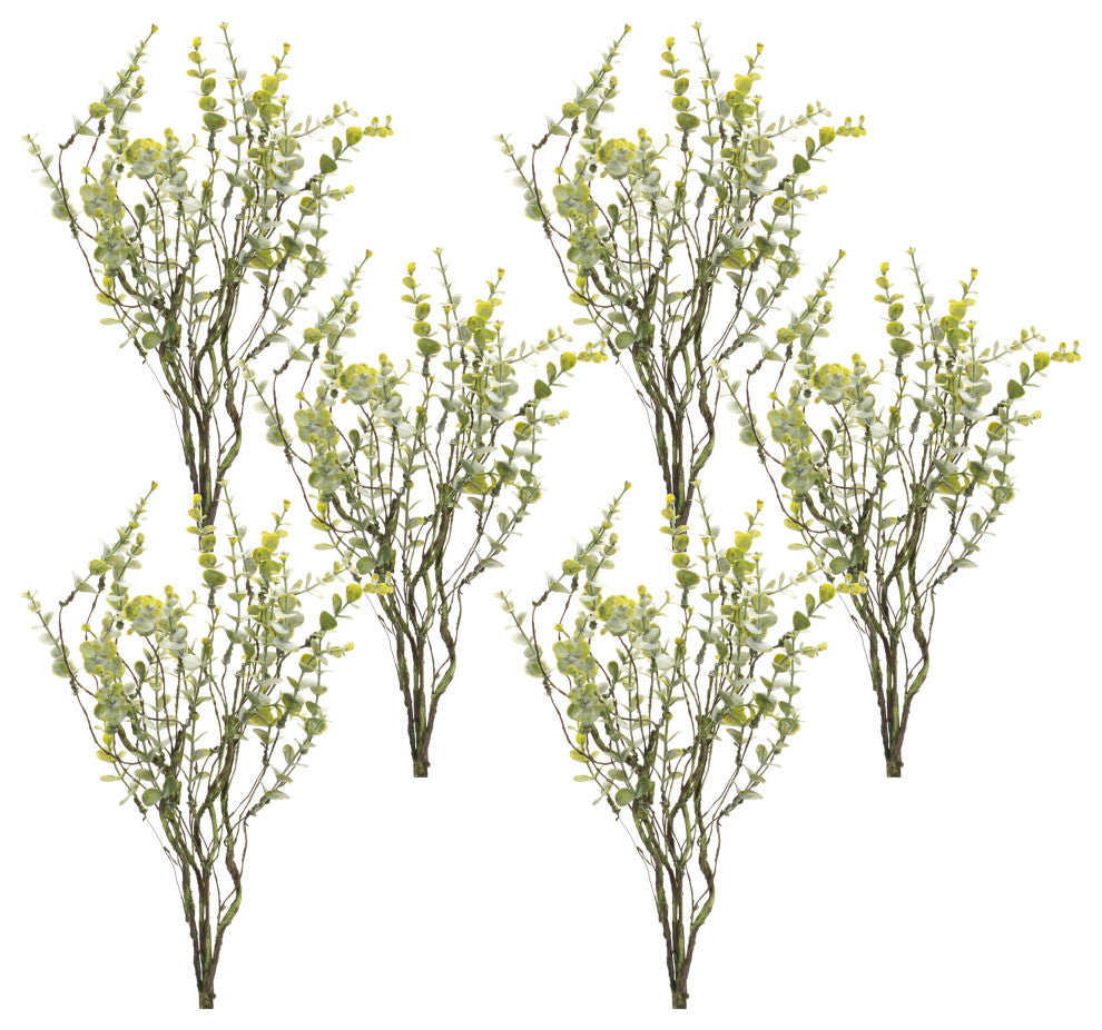 Boxwood Spray, Set of 6
