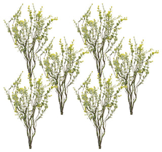 Boxwood Spray, Set of 6