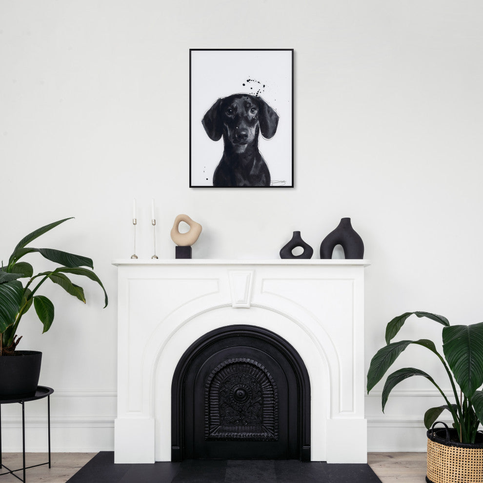 "Dachshund" Black and White Pet Art on Printed Glass Encased with Anodized Frame