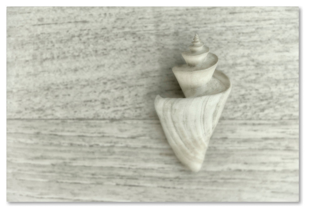 Cora Niele ''Japanese Wonder Shell'' Canvas Art