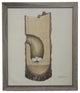 Nest With Eggs, Tree Plate XLIV, Barnwood Frame