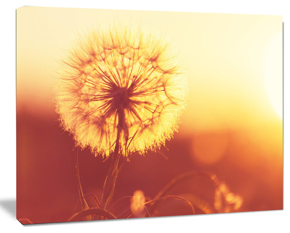 Blossom Dandelion Flower on Brown, Large Flower Canvas Art Print, 40"x30"
