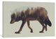 "Wolf" by Andreas Lie, 40x26x1.5