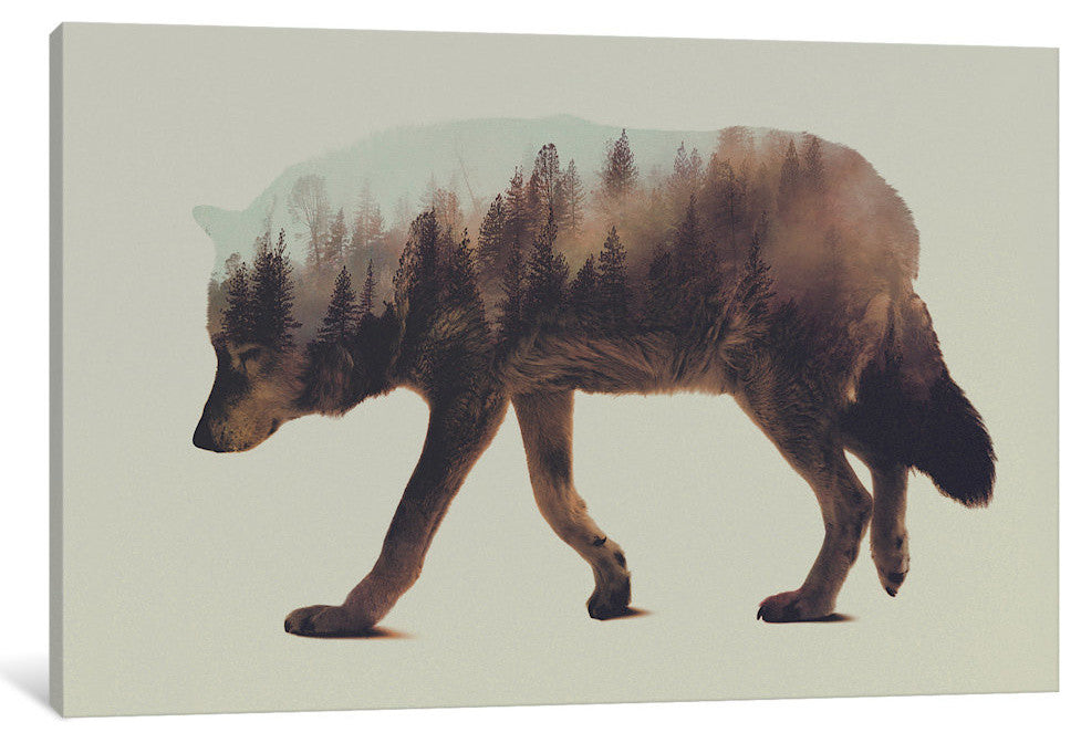 "Wolf" by Andreas Lie, 40x26x1.5
