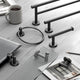 Latitude II Toilet Paper Holder, Matte Black, Double