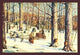 Sugar Maple - Gallery Wrapped Canvas Art 28" x 42"