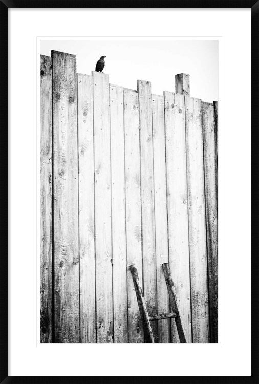 "Freed" Framed Digital Print by Jurgen Hartlieb, 25x38"